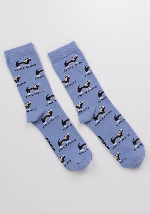 Meia com cano longo cachorro