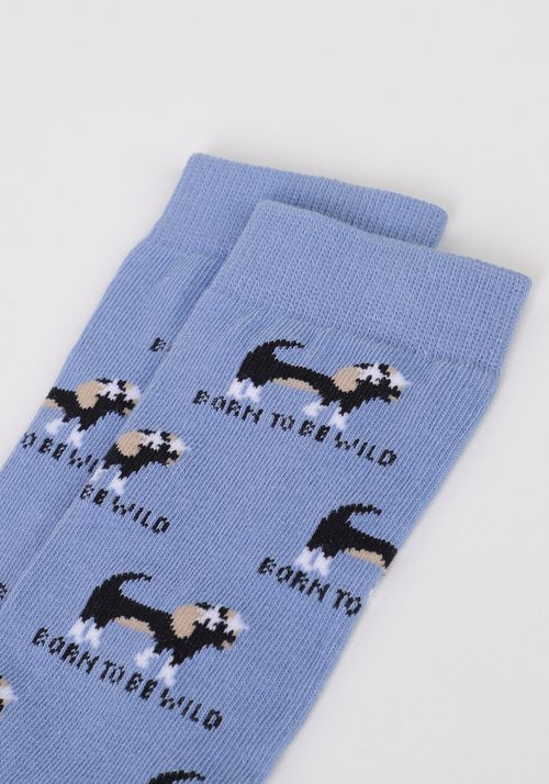 Meia com cano longo cachorro